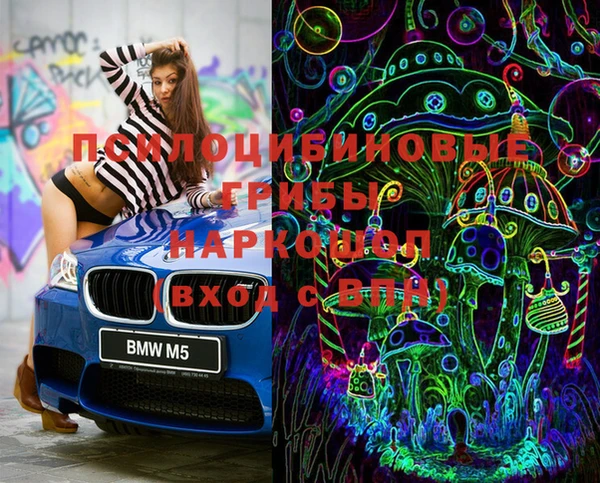 дмт Бородино