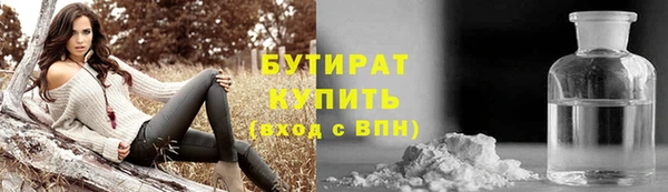 дмт Бородино