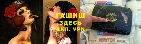 дмт Бородино