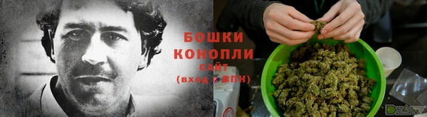 spice Бронницы