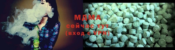 дмт Бородино