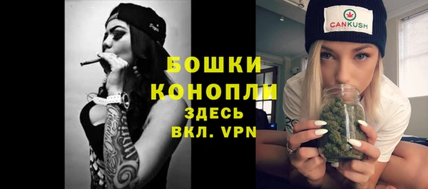 дмт Бородино