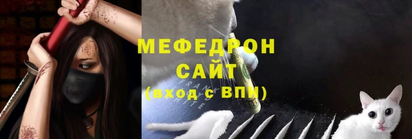 дмт Бородино