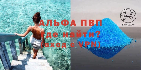 дмт Бородино