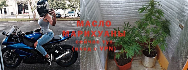 дмт Бородино