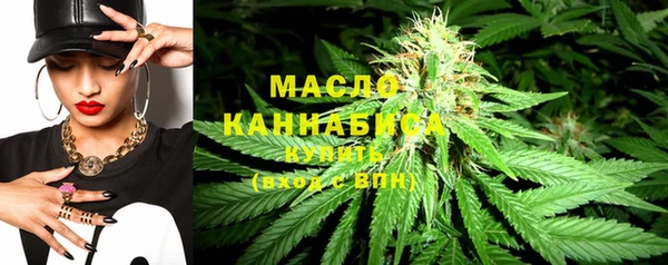 молекула духа Богородицк