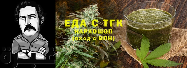 дмт Бородино