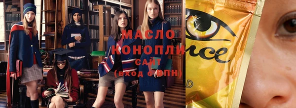 дмт Бородино