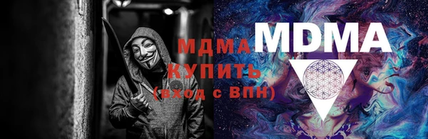 дмт Бородино