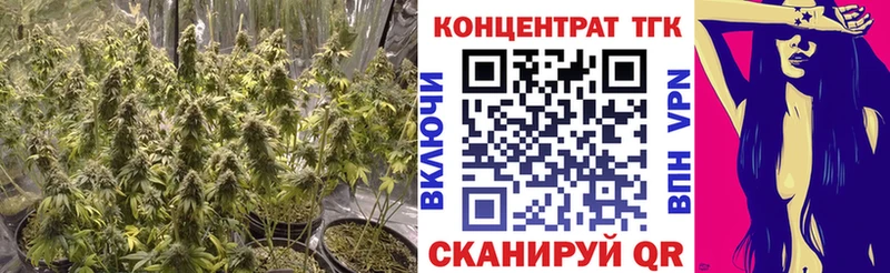 Купить где  Дзержинск  Дистиллят ТГК THC oil 