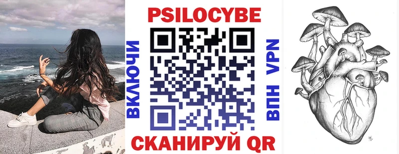 Купить закладки Дзержинск Галлюциногенные грибы мицелий